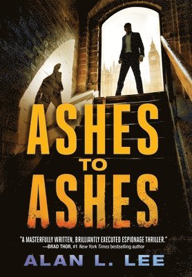 bokomslag Ashes to Ashes