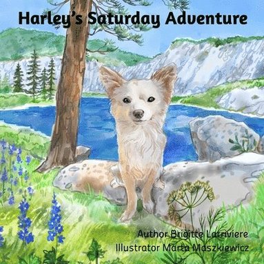 Brigitte Larriviere - Harley's Saturday Adventure!, Häftad