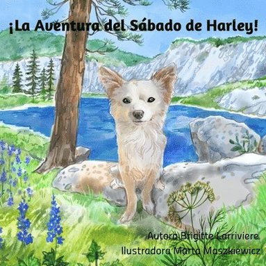 Brigitte Larriviere - ¡La Aventura del Sábado de Harley!, Häftad