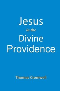 bokomslag Jesus in the Divine Providence