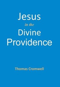 bokomslag Jesus in the Divine Providence