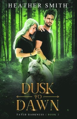 Dusk to Dawn 1