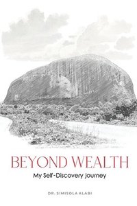 bokomslag Beyond Wealth