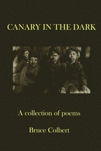 bokomslag Canary in the Dark