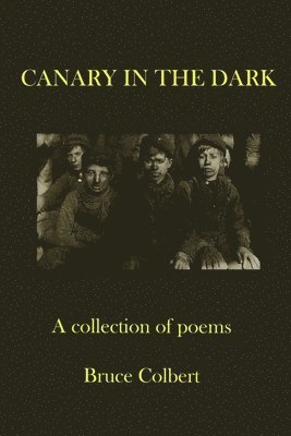 Canary in the Dark 1