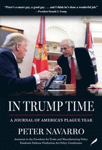 bokomslag In Trump Time: A Journal of America's Plague Year