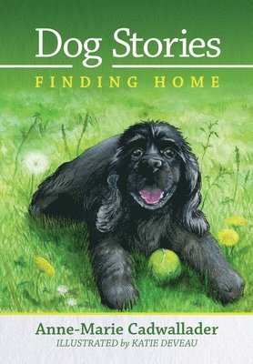 Dog Stories Finding Home 1