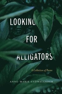 bokomslag Looking For Alligators