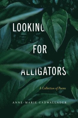 bokomslag Looking For Alligators
