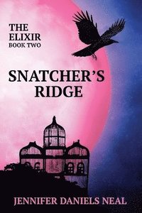 bokomslag Snatcher's Ridge, The Elixir Series Book 2