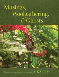 bokomslag Musings, Woolgathering, & Ghosts
