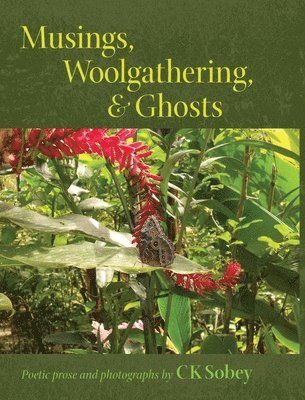 Musings, Woolgathering, & Ghosts 1