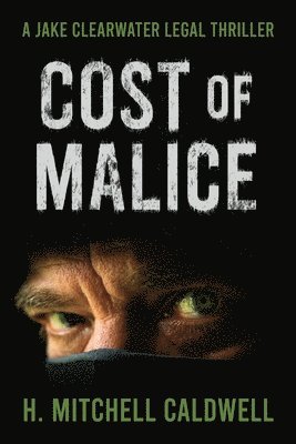 bokomslag Cost of Malice