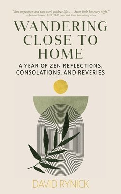 David Rynick - Wandering Close to Home, Häftad