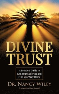 bokomslag Divine Trust