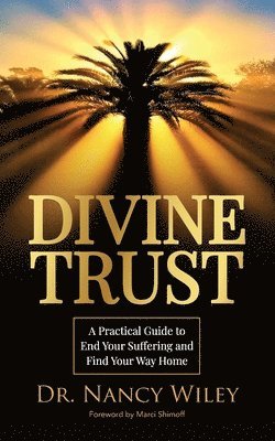 bokomslag Divine Trust