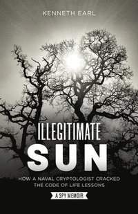 bokomslag Illegitimate Sun