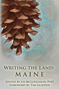 bokomslag Writing the Land