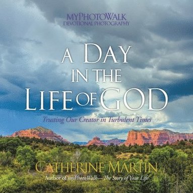 bokomslag A Day In The Life Of God: Trusting Our Creator in Turbulent Times