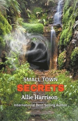 Allie Harrison - Small Town Secrets, Häftad