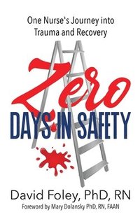 bokomslag Zero Days in Safety