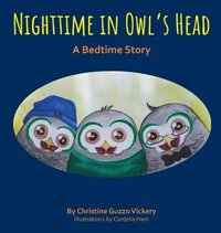 bokomslag Nighttime In Owl's Head: A Bedtime Story