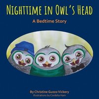 bokomslag Nighttime In Owl's Head: A Bedtime Story