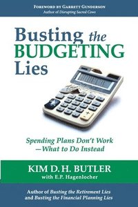 bokomslag Busting the Budgeting Lies