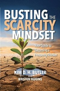 bokomslag Busting the Scarcity Mindset
