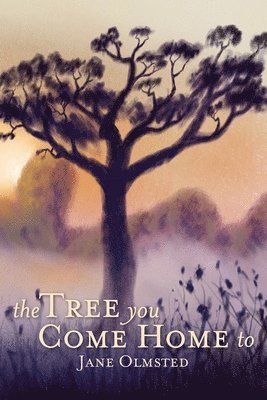 Jane Olmsted - Tree You Come Home To, Häftad