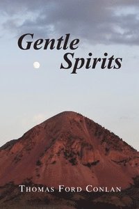 bokomslag Gentle Spirits