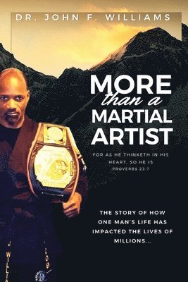 bokomslag More Than A Martial Artist