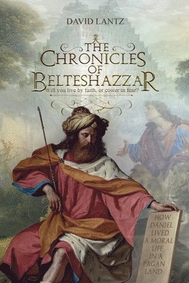 bokomslag The Chronicles of Belteshazzar