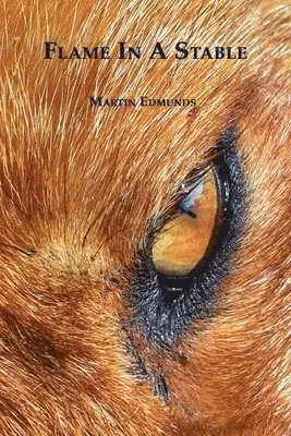 Martin Edmunds - Flame in a Stable, Häftad. Tillgänglighet: Lägg i varukorg