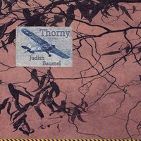 bokomslag Thorny