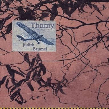 bokomslag Thorny