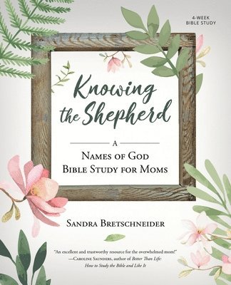 bokomslag Knowing the Shepherd