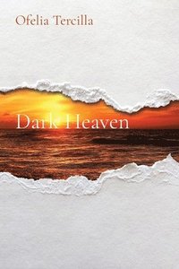 bokomslag Dark Heaven