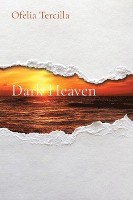 bokomslag Dark Heaven