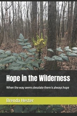 Hope in the Wilderness 1