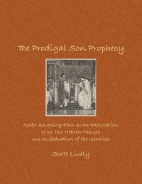 bokomslag The Prodigal Son Prophecy