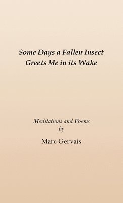 Some Days a Fallen Insect Greets Me in its Wake