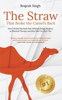 bokomslag The Straw That Broke the Camel's Back: How I Healed My Back Pain Without Drugs, Surgery, or Physical Therapy and How You Can Do It Too