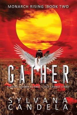 Gather 1