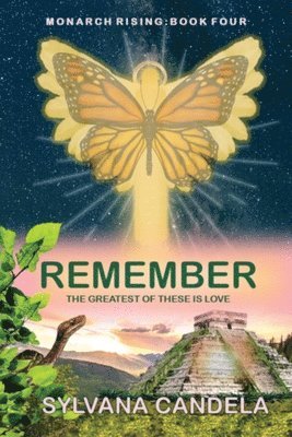 bokomslag Remember