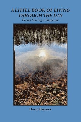 David Breeden - Little Book of Living Through the Day, Häftad