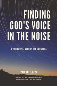 bokomslag Finding God's Voice in the Noise