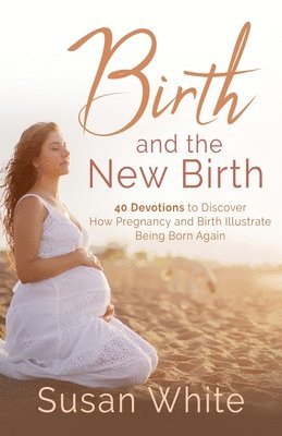 bokomslag Birth and the New Birth