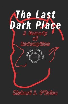 bokomslag Last Dark Place
