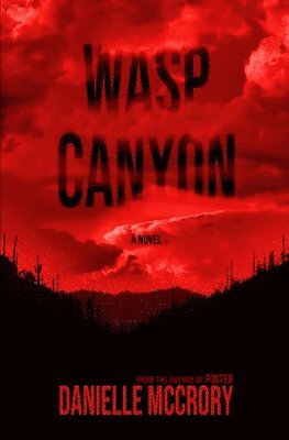 Wasp Canyon 1